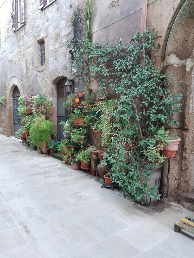 La Casa Di Sally Pitigliano Kültér fotó